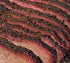 RUB SUCKLEBUSTERS 1836 BEEF RUB - TRADIZIONALE STILE TEXANO PER IL MANZO